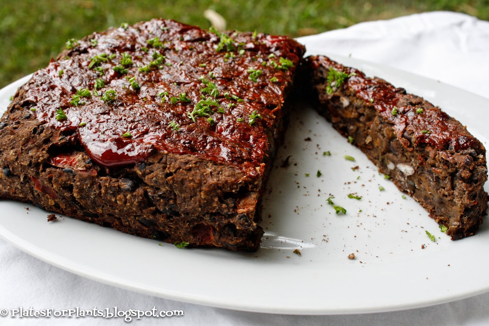 Plates for Plants Black Bean Loaf