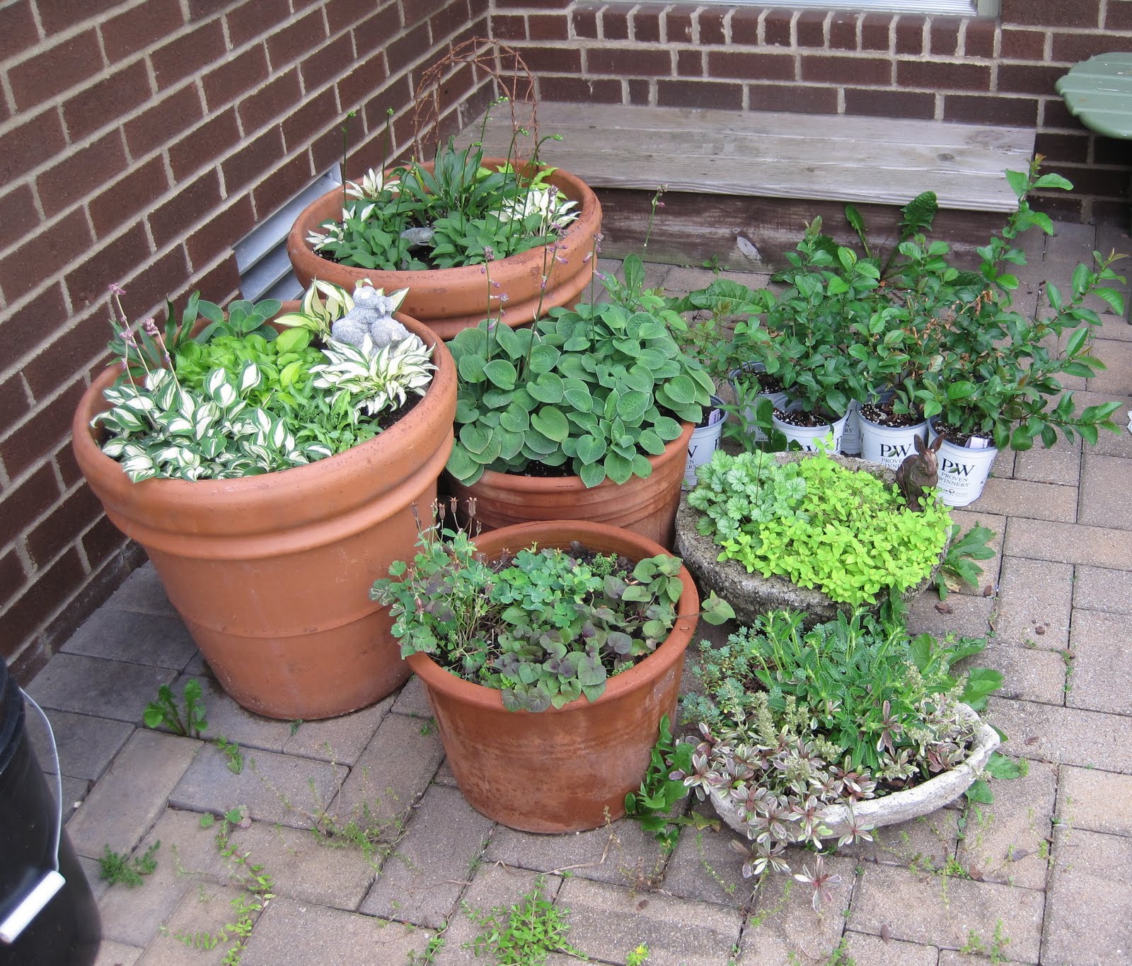 Apartment Patio Garden Ideas