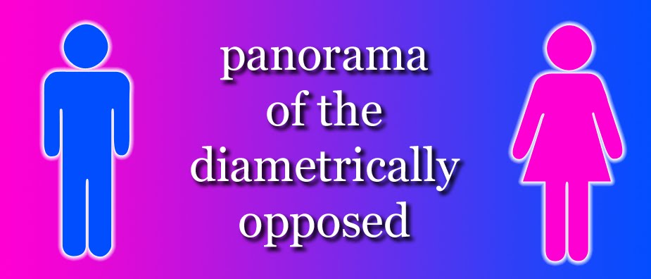 Panorama of the Diametrically Opposed