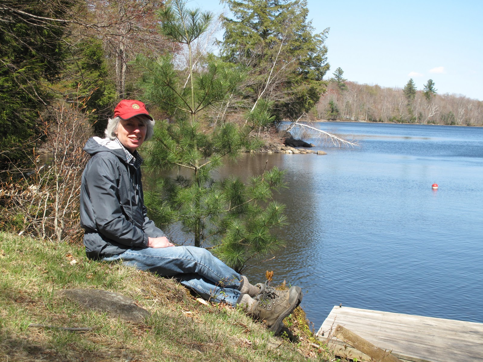 Nooks and Vales Spring Comes to Dyken Pond
