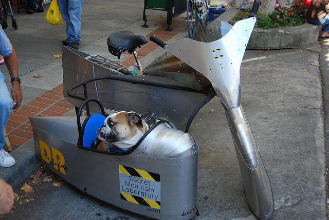Lindas bicicletas com sidecars