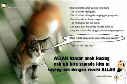 32+ Murah Rezeki Bela Kucing Hangat