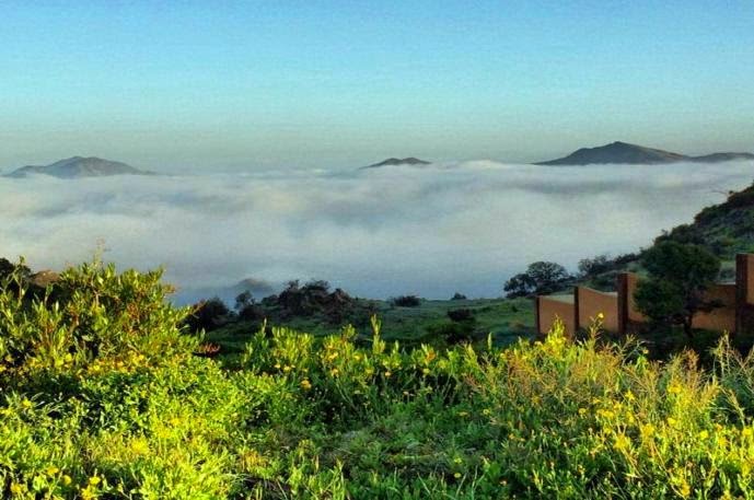 صور من الباحة Ax775a Twitter