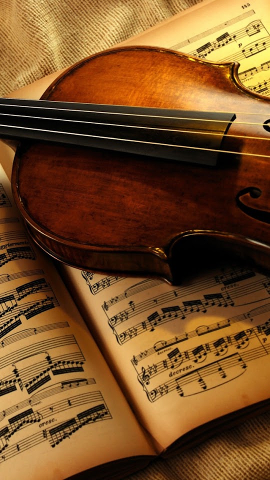   Violin and Music Notation   Android Best Wallpaper