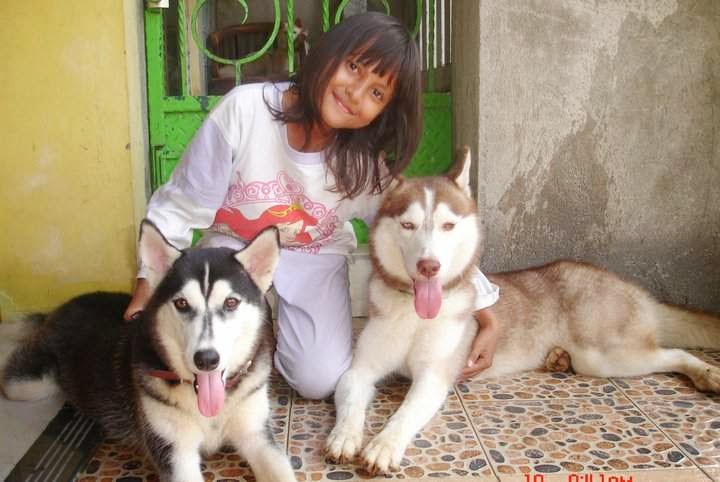 Blog Yang Berisikan Solusi Untuk Bisa Menjadi Ibu Rumah Tangga