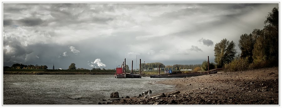 Fotografie