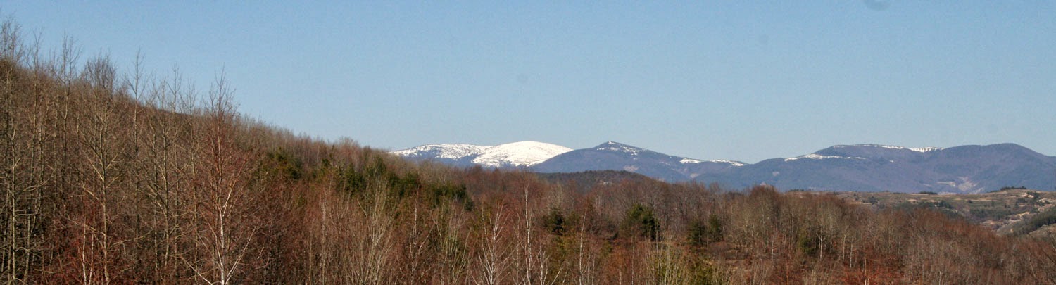Snow tipped mountains in the distance Snow tipped mountains in the distance