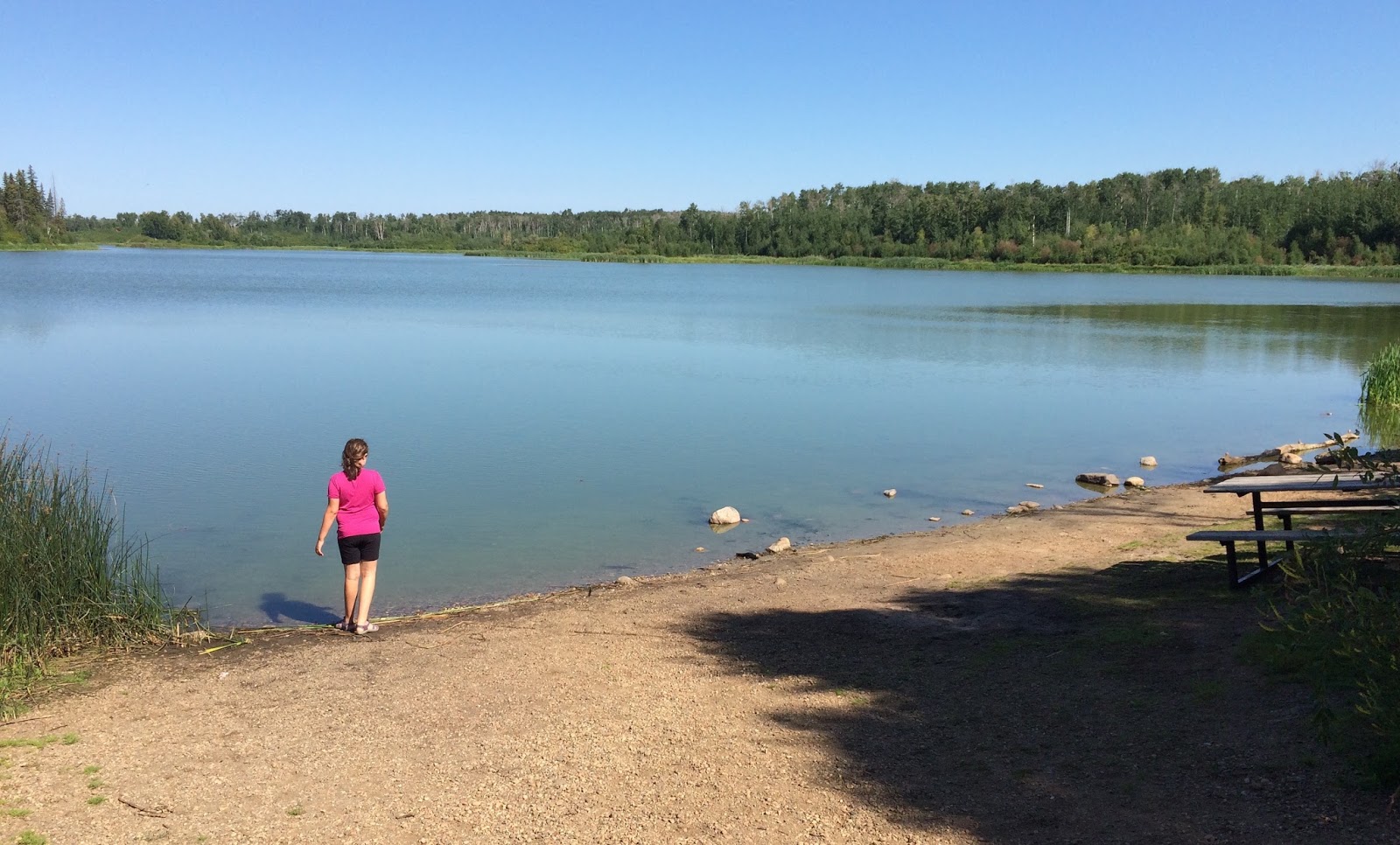 Canoeing Around Edmonton, Alberta, Canada Islet Lake