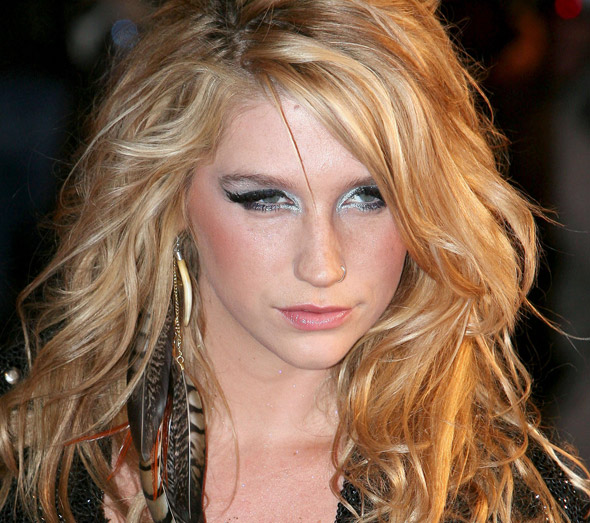 Feather Hair Extensions