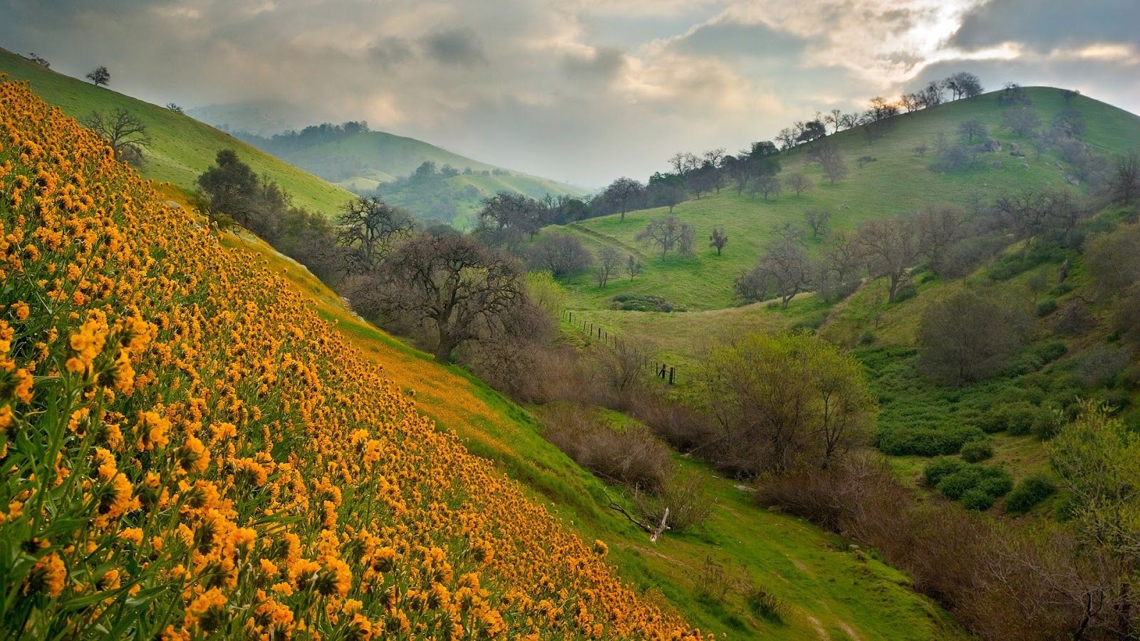 scenery pictures of california scenery pictures of california