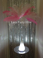 Pink White Feathers  Hire