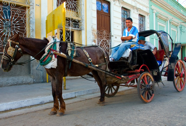 [Image: khongdaugiongnhucuba_02.jpg]