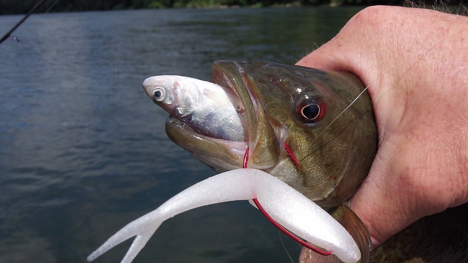 Dean Finnerty's Fishing and Hunting Any Questions?