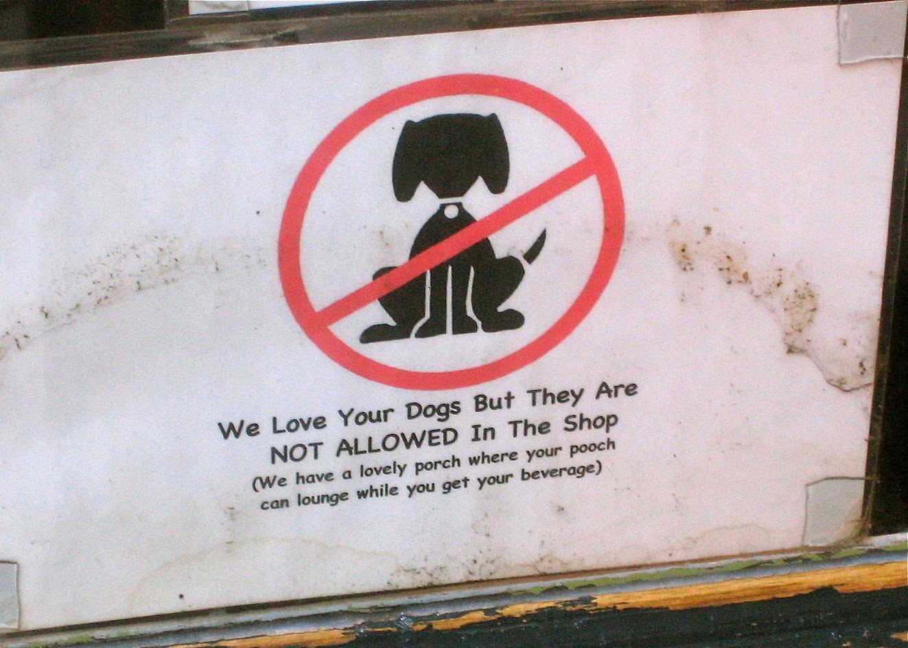 Why Should Dogs Not Be Allowed In Restaurants