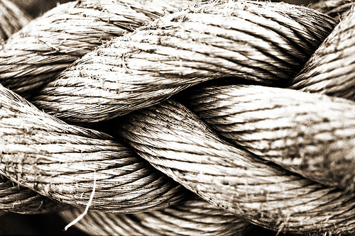 Dear Eurydice : Strings Attached Dear Eurydice : Strings Attached