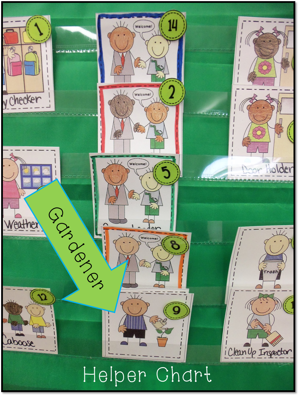 Dream Big Kinders: Kindergarten Science: Planting Grass with 2 FREEBIES!!