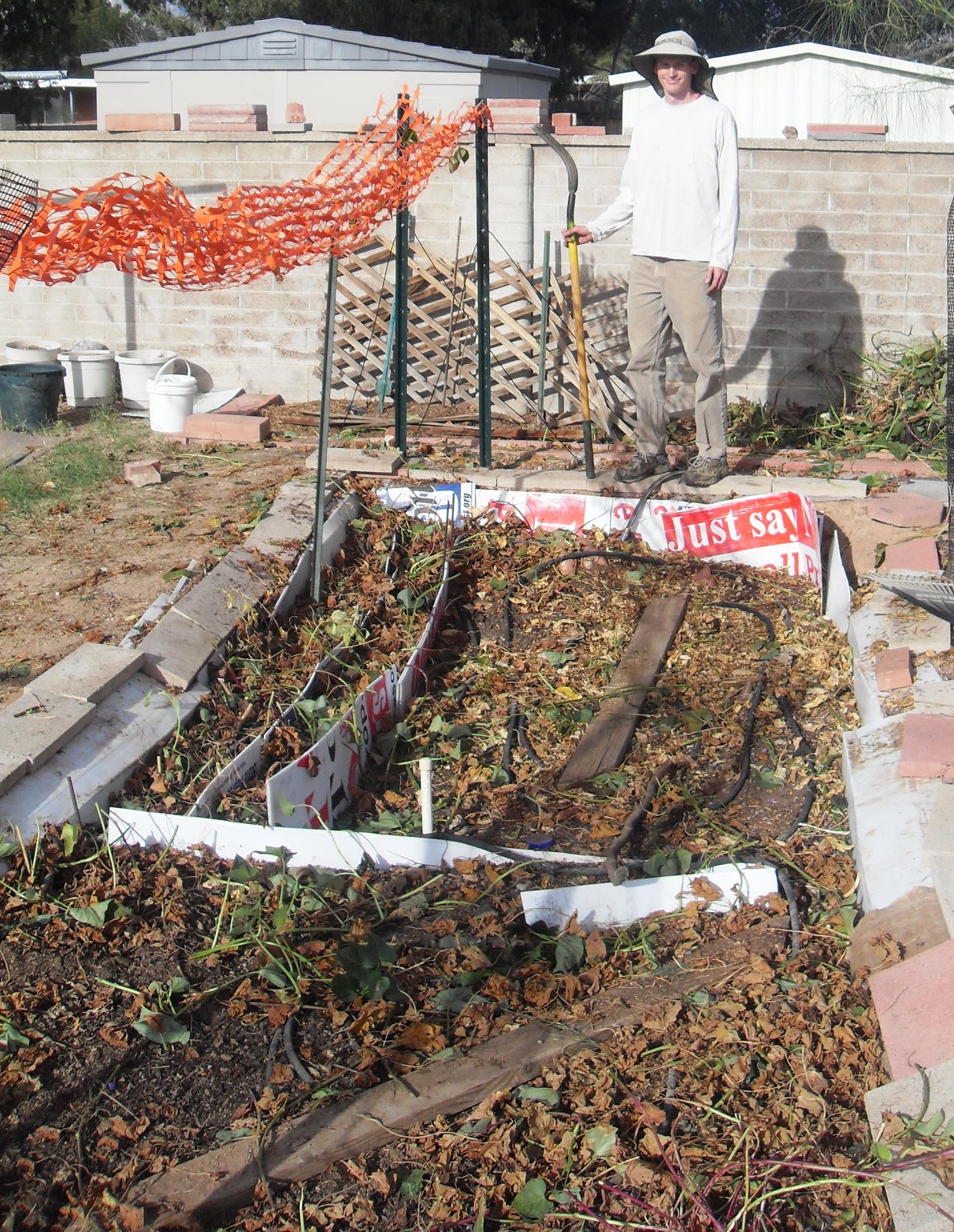 The Scientific Gardener: 11/1/12 - 12/1/12