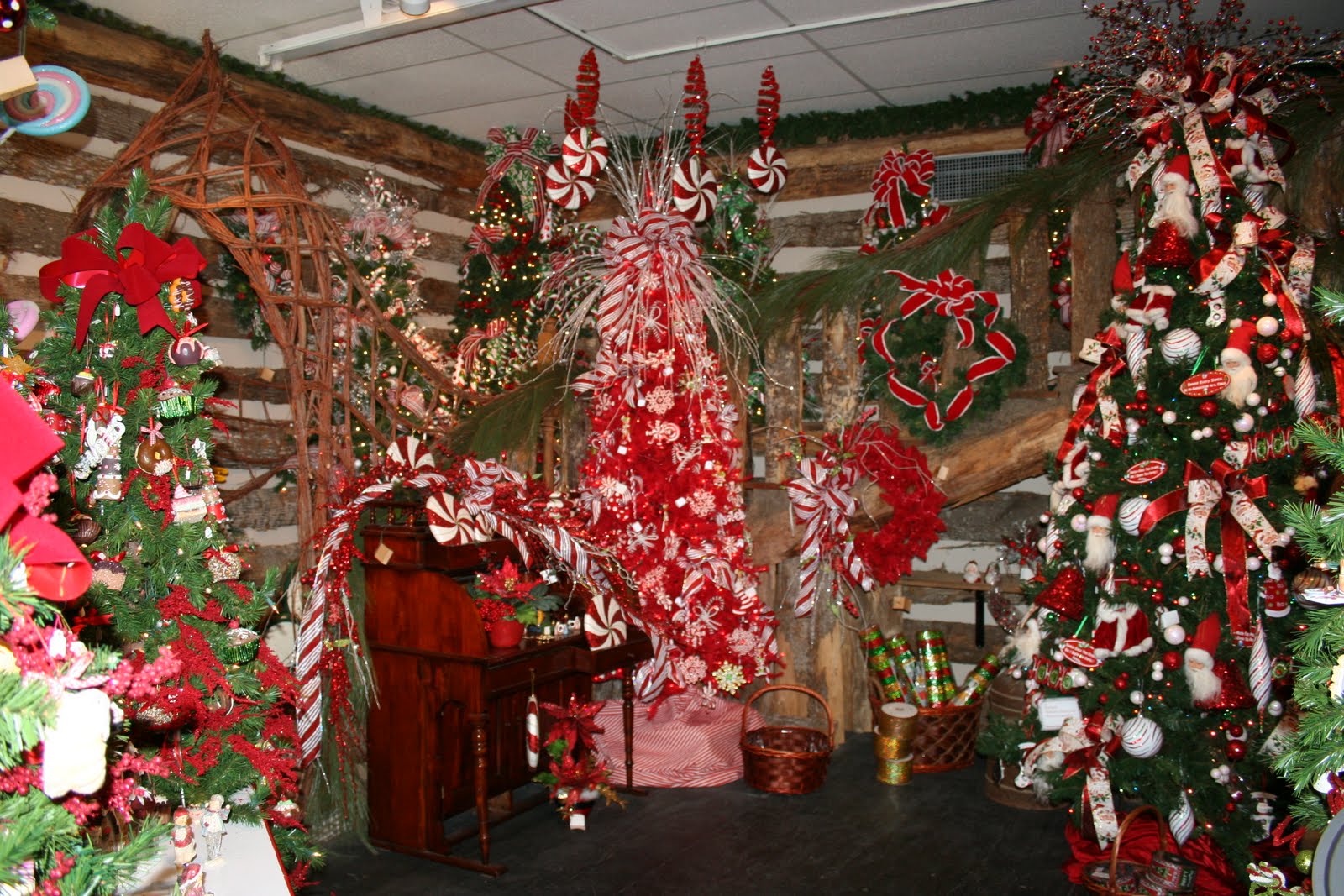 The Lookout Mountain Blog Eddie’s Winter Wonderland By Kayla Worthey