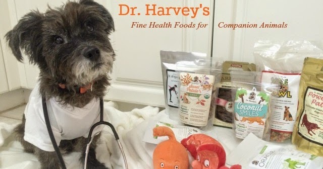 dr harvey's dog food