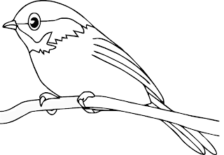 Cute Bird Coloring Pages