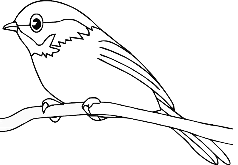 Coloring Pages For Birds - Best Coloring Pages Collections