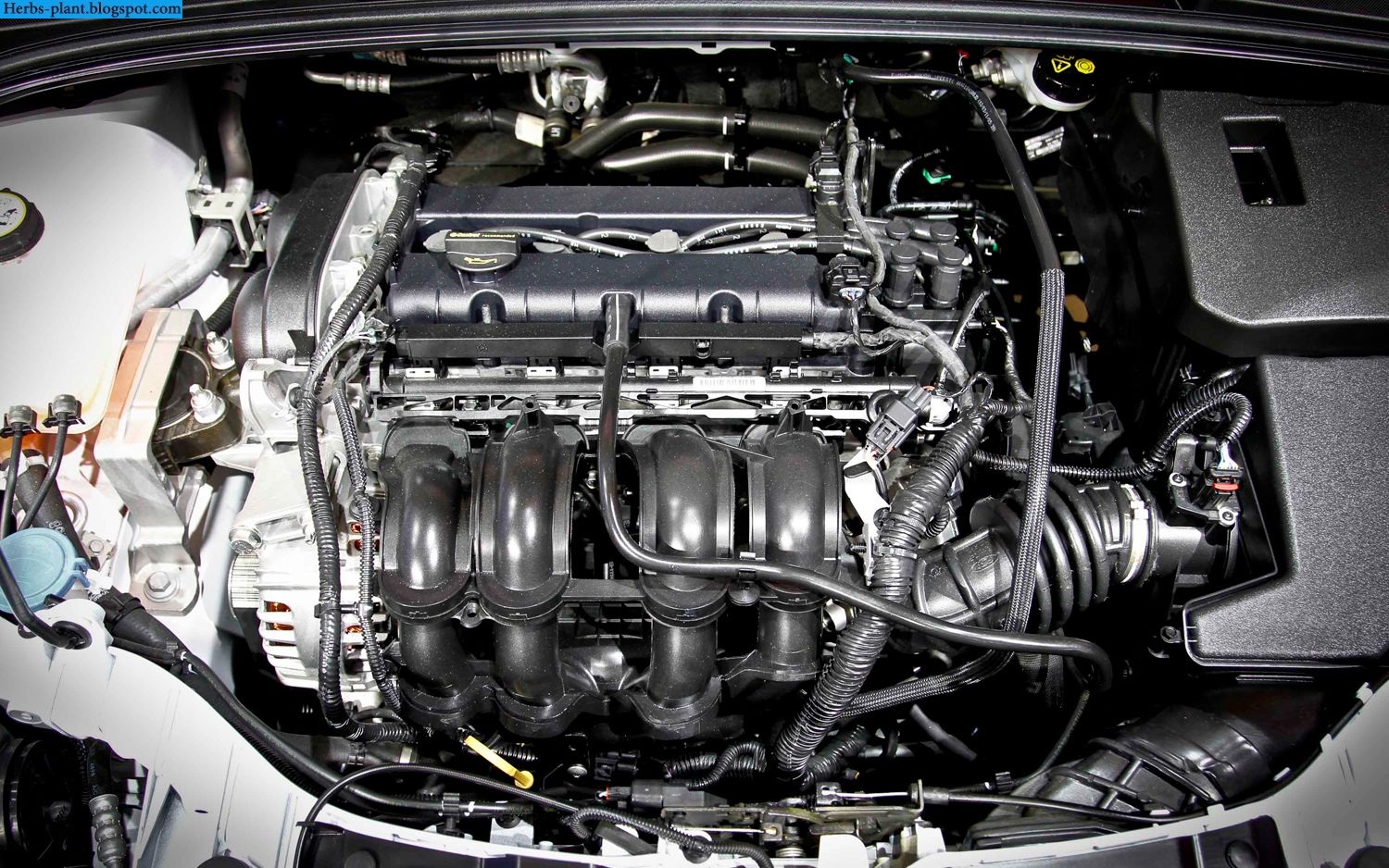 Ford focus car 2013 engine - صور محرك سيارة فورد فوكس 2013 Ford focus car 2013 engine - صور محرك سيارة فورد فوكس 2013