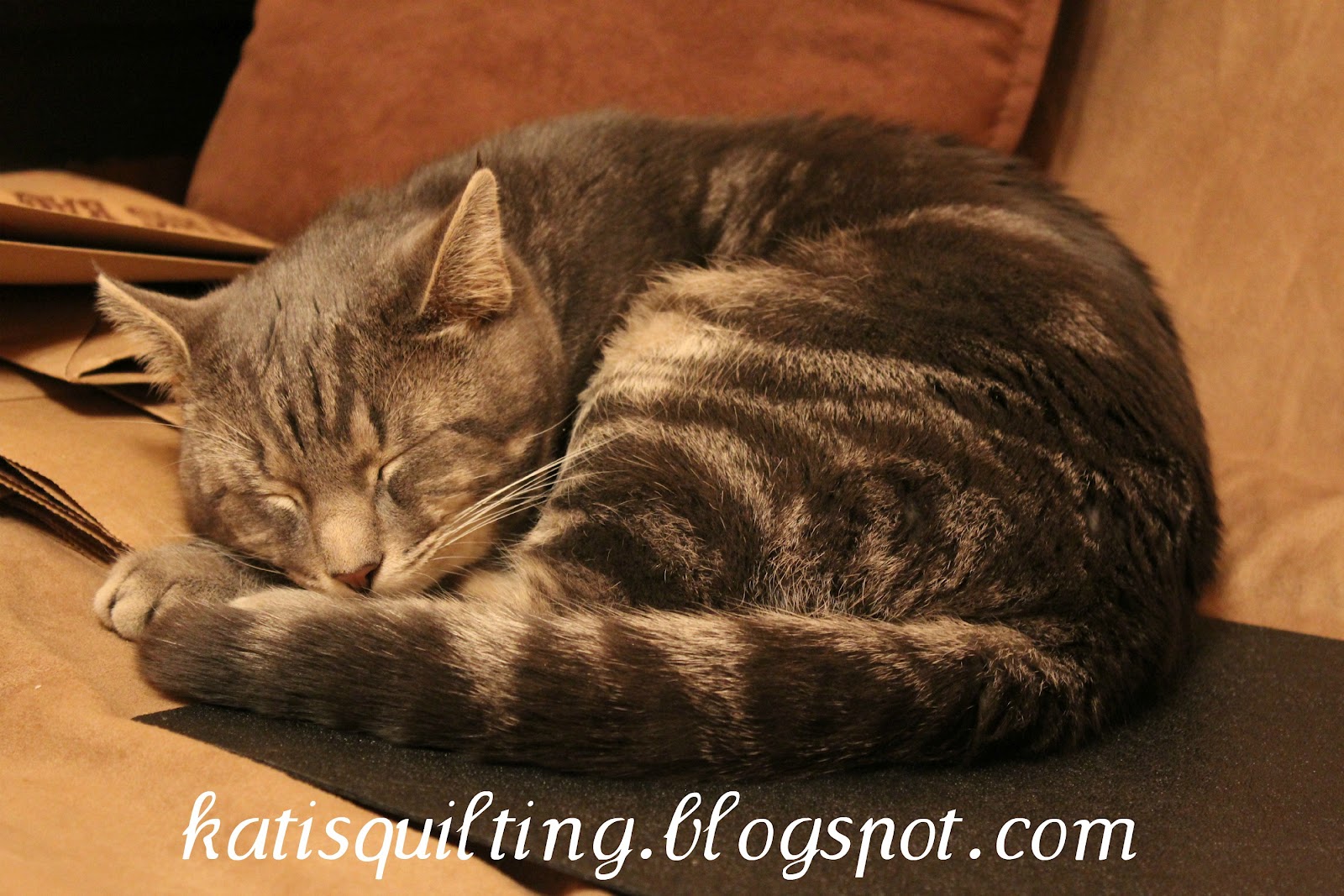 Kati's Quilting and Sewing How to sew the chenille strips on (tutorial