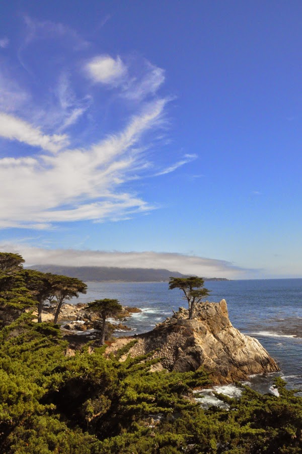 17 mile drive big sur 17 mile drive big sur