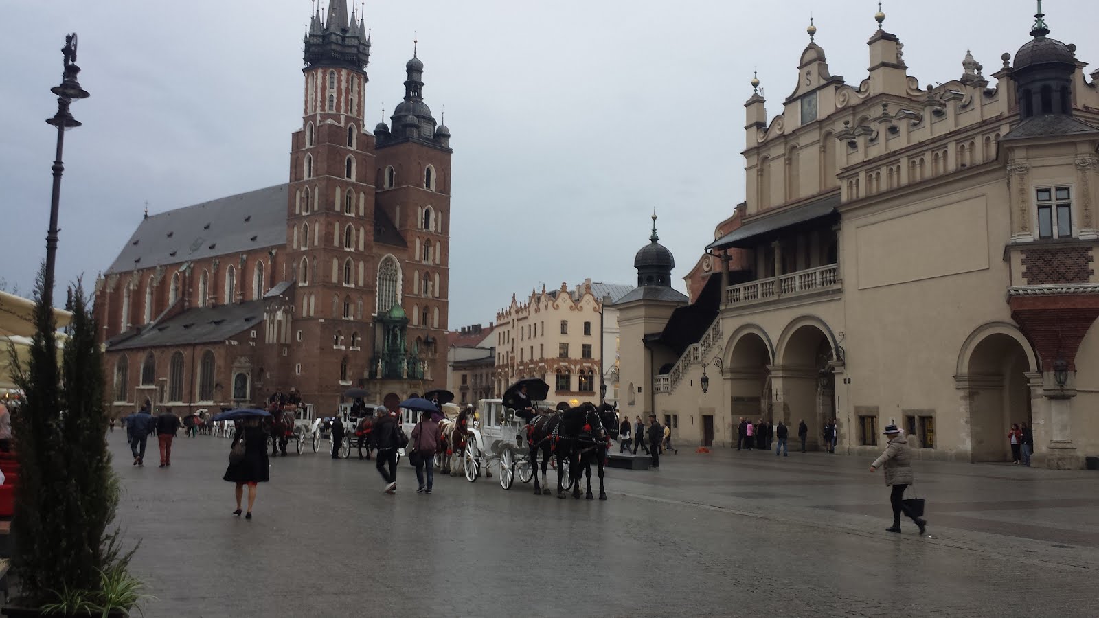 Cracovia