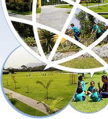 Gandhi & Climate Change