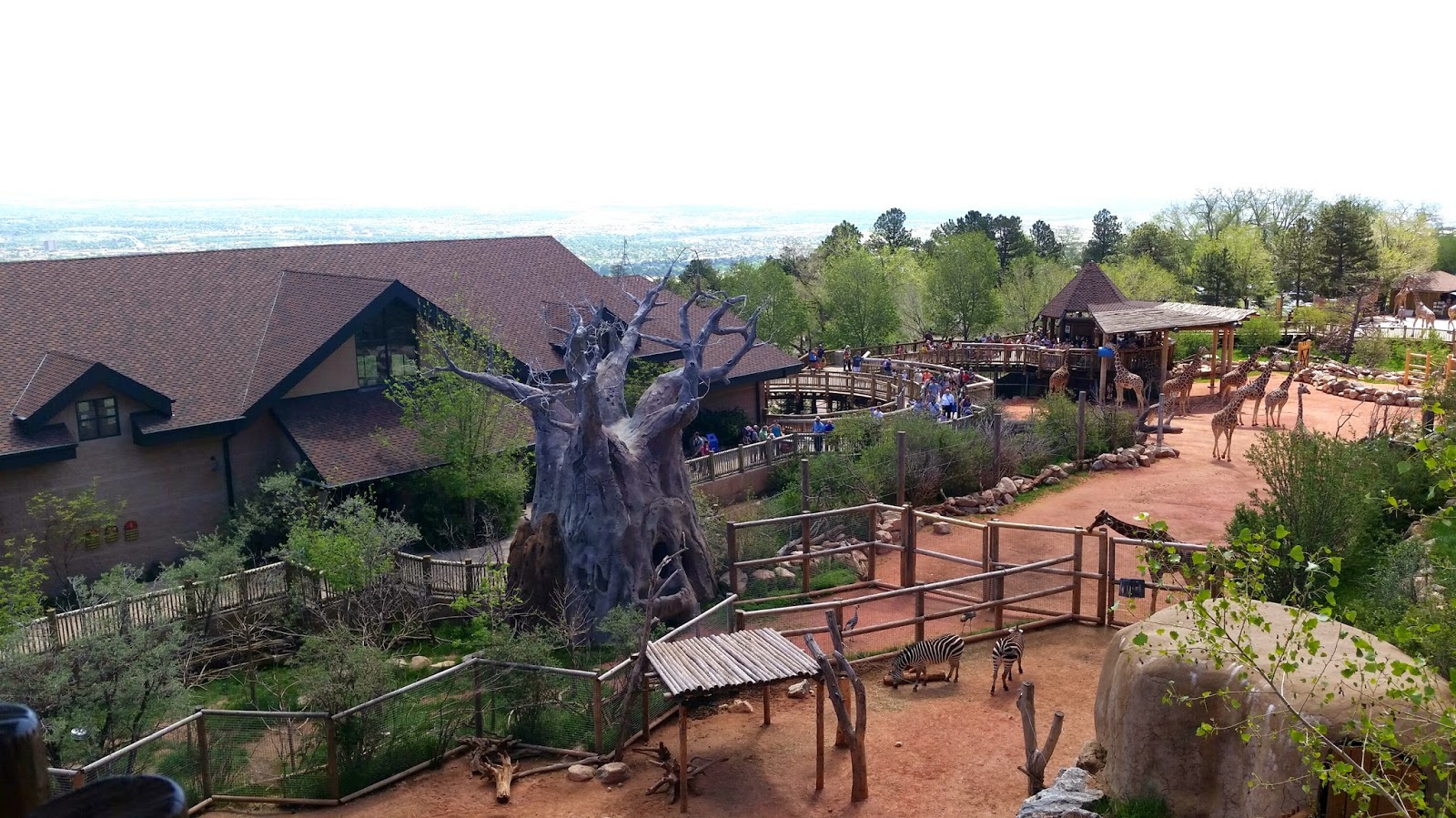 Julie Austine: Cheyenne Mountain Zoo