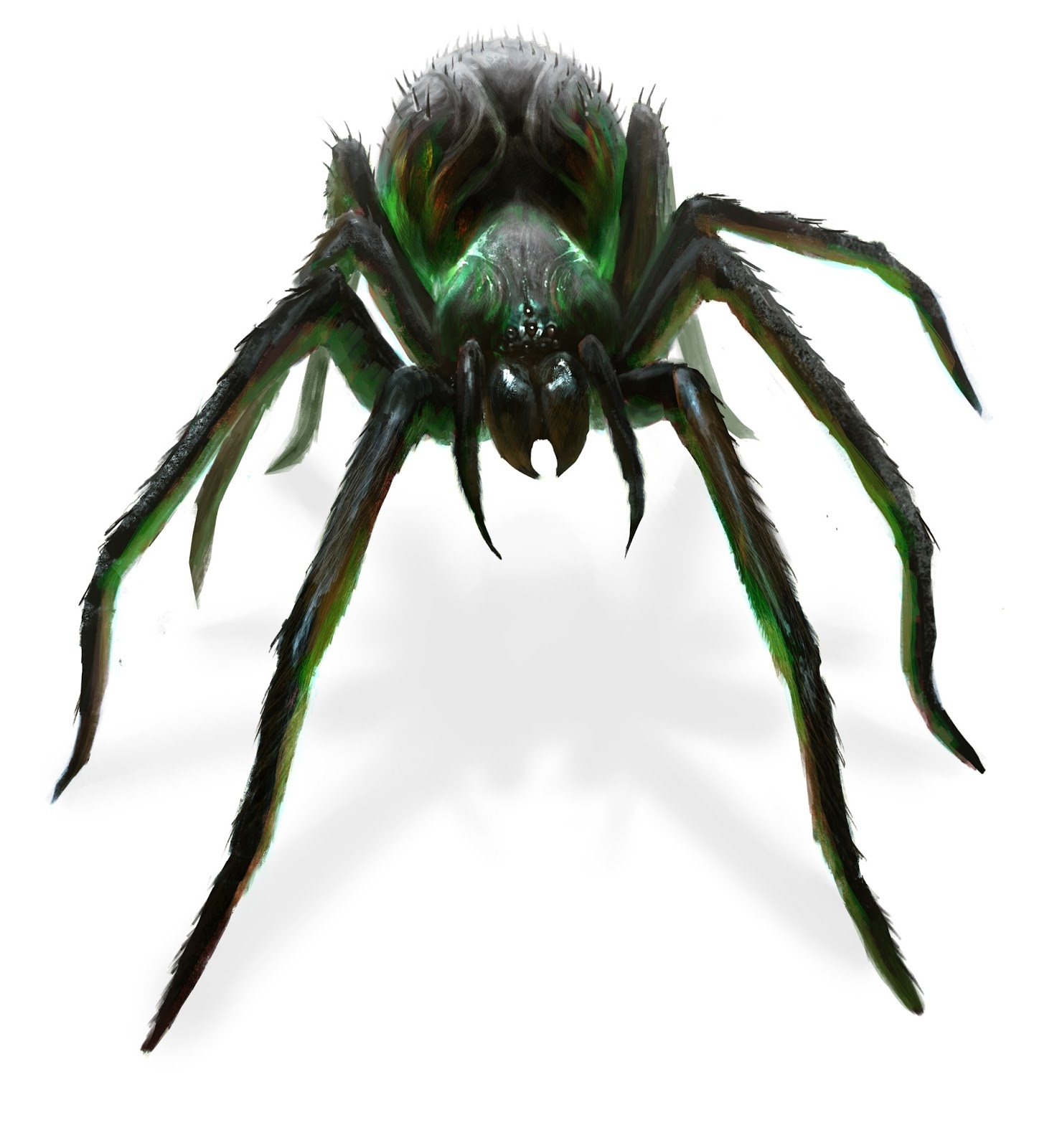 Spider illustration, Fantasy monster, Spider art