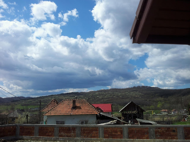 by Ozana: Beautiful garden designs