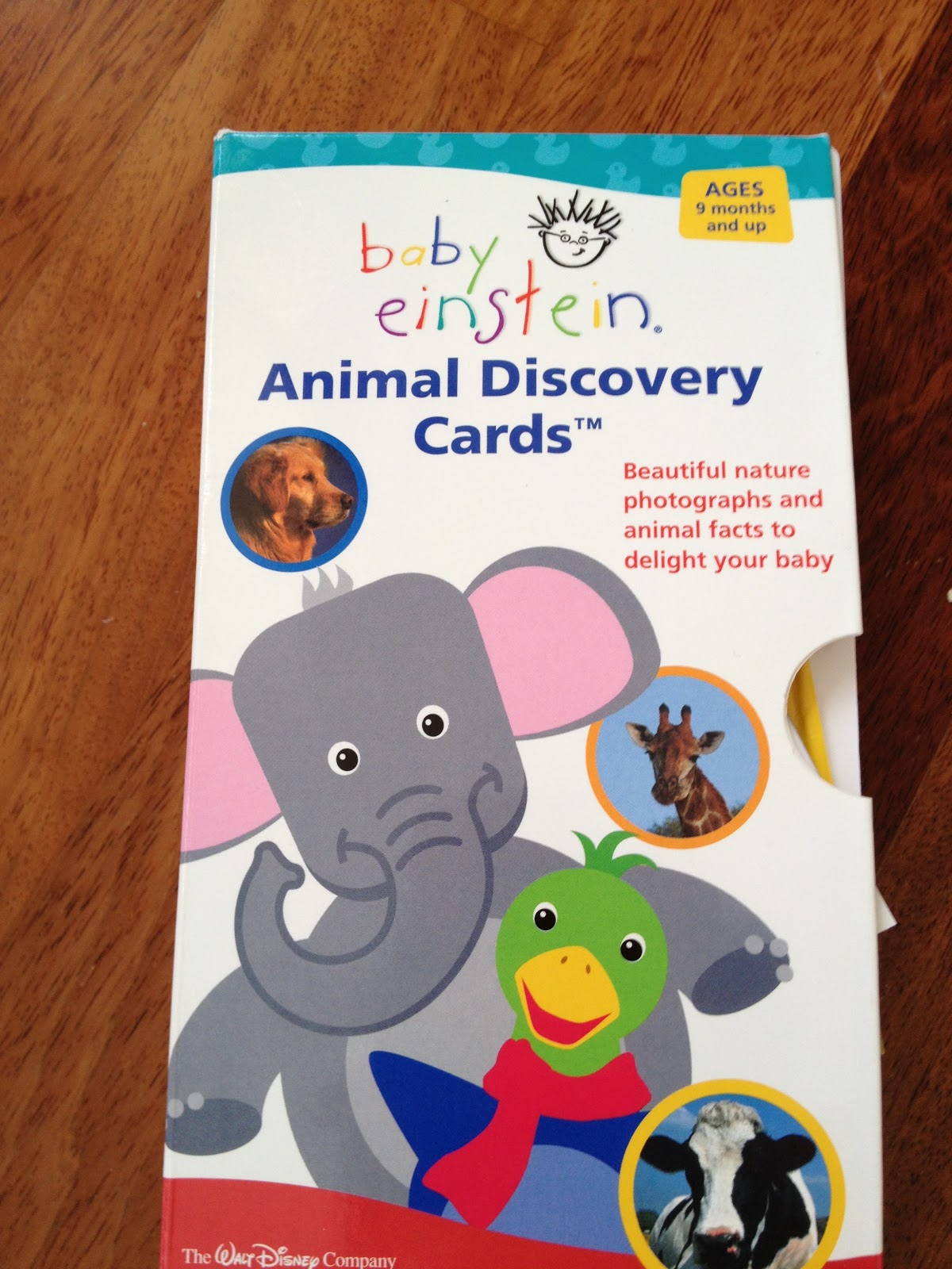 Playing and Learning Begins at Home Toddler teach baby animals!