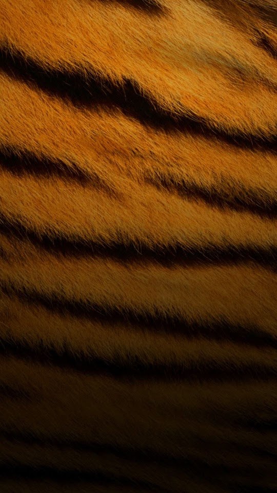 Tiger Skin Pattern  Android Best Wallpaper