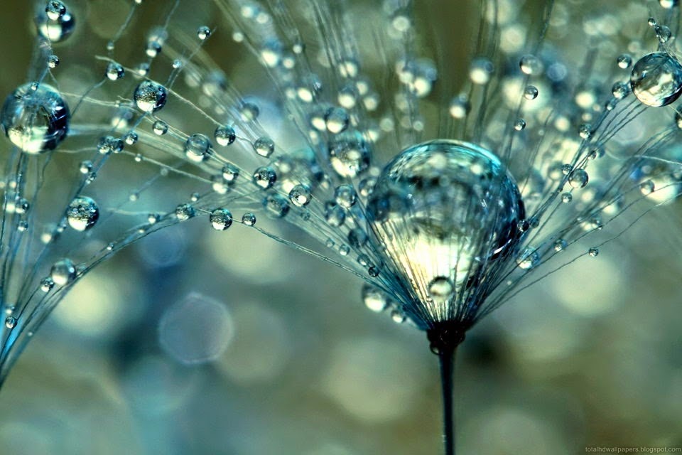 Download 300+ Wallpaper Android Embun Download 300+ Wallpaper Android Embun