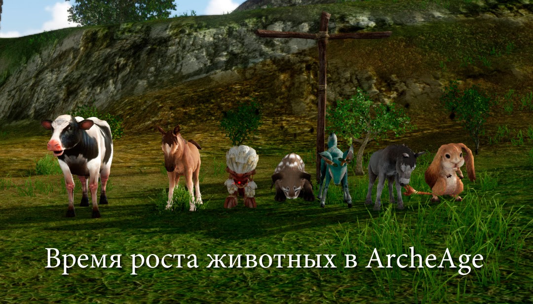 Время роста животных в ArcheAge Время роста животных в ArcheAge