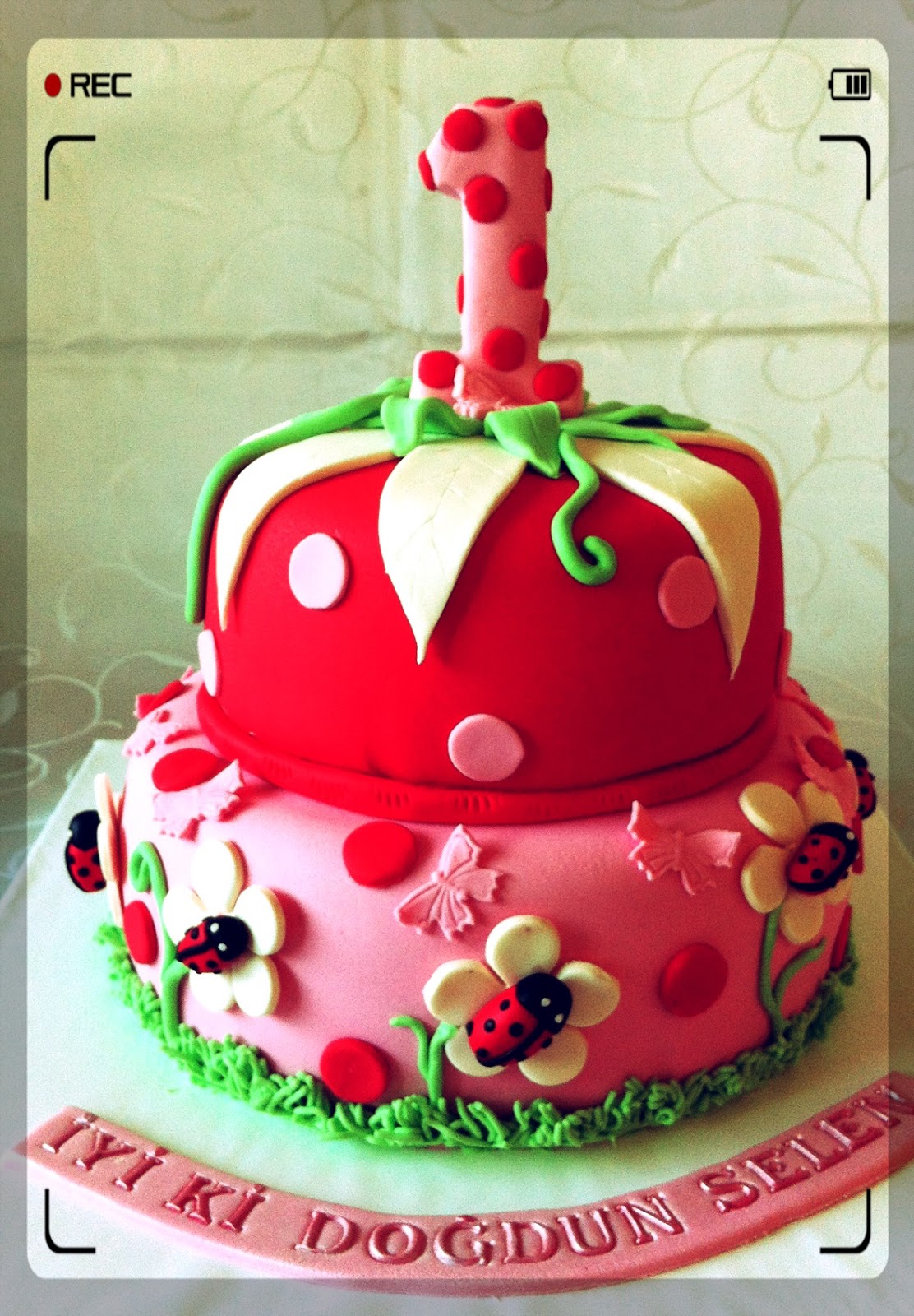 Uğur Böceği Temalı 1 Yaş Pastası Butik Pasta &amp; Kurabiye