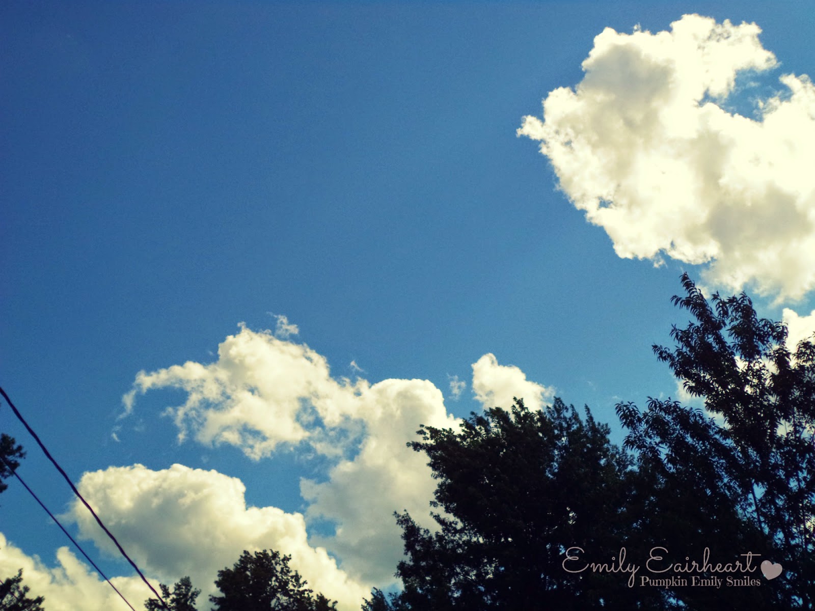 Clouds that look like a person and lobsters.