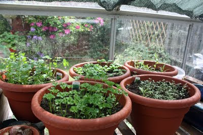 Craft and Activities for All Ages!: Time for Gardening ...