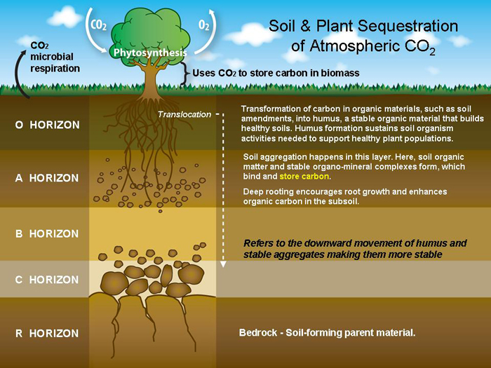 Land Resource Management Introduction to Soil (SST 5201)