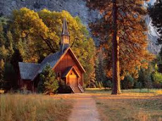 LA CABAÑA DEL BOSQUE