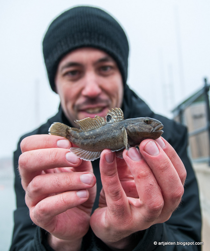 exempel på dejtingprofil