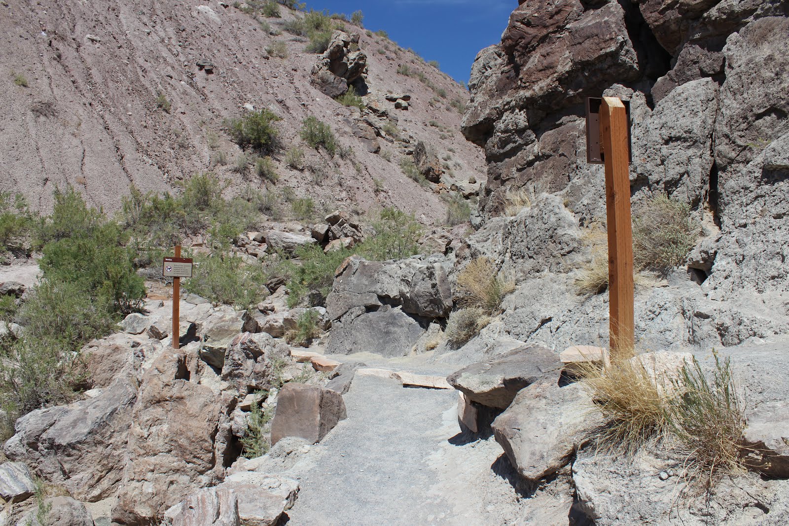 Fossil Discovery Trail/Quarry Site