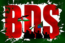 Vive BDS