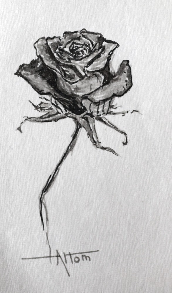 Artiqueryrose Elizabeth S Rose Sketch In Pen