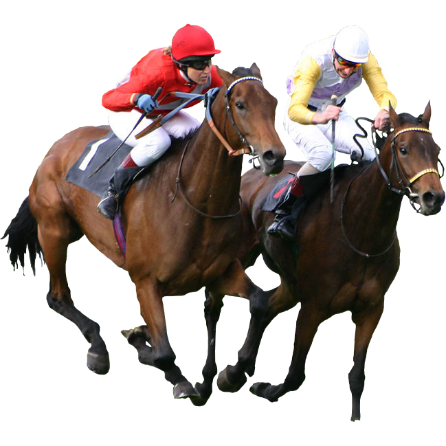 Top 31 Amazing And Dashing Horse Racing Wallpapers In HD