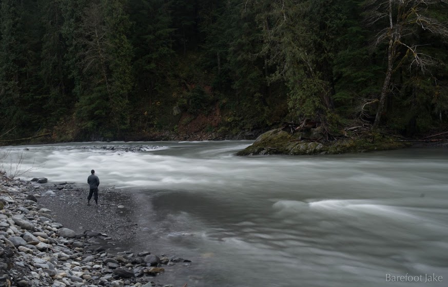 north fork quinault river
