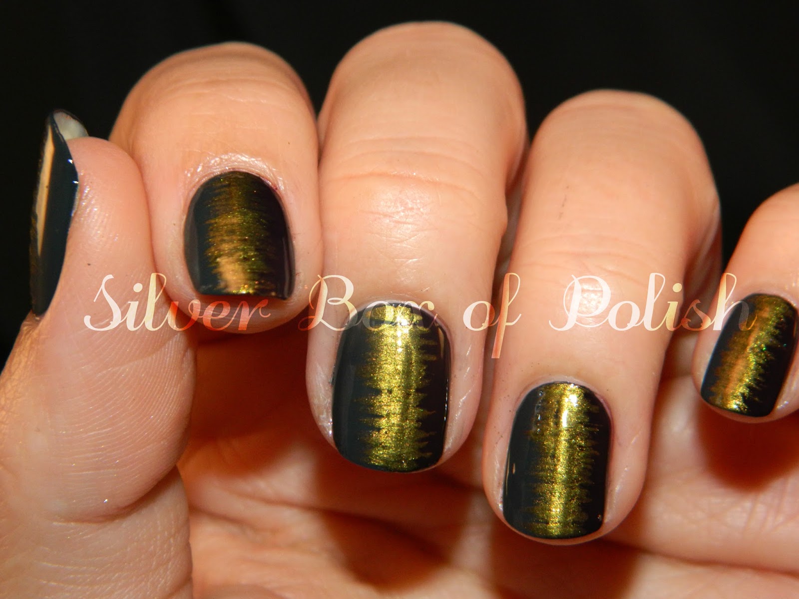 Silver Box of Polish Fan Brush Nail Art