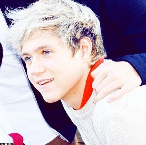 To Official Fransiska's Blog BIODATA NIALL HORAN